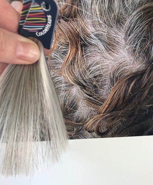 Leven van Dierentuin Hoofdstraat Laat je je haar grijs worden of ga je door met kleuren? | Style Consulting