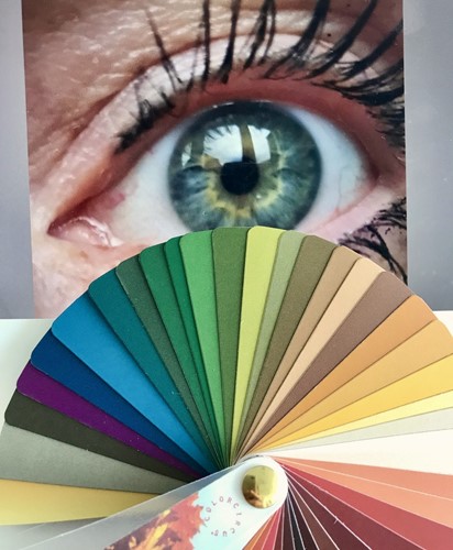 Een oogkleur met verschillende kleuren.