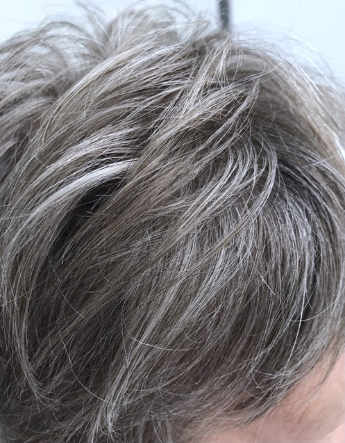 som van mening zijn Grootste Laat je je haar grijs worden of ga je door met kleuren? | Style Consulting