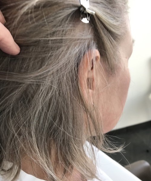 Vlek Huis Actie Laat je je haar grijs worden of ga je door met kleuren? | Style Consulting