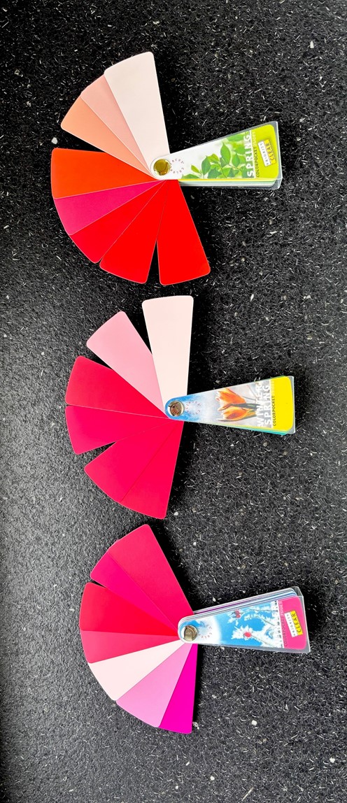 De heldere kleurtypes bij kleuradvies.