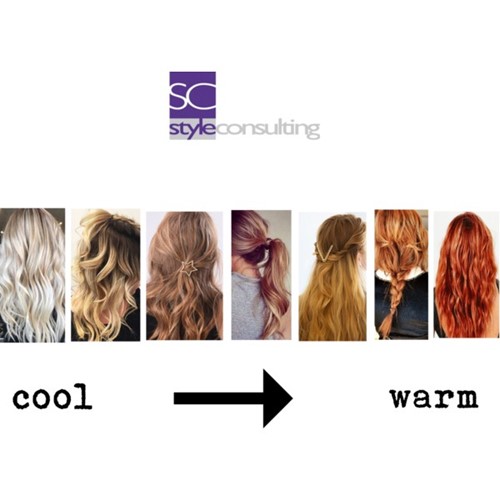 Thermisch Het formulier een welke haarkleur past bij je kleurtype | Style Consulting