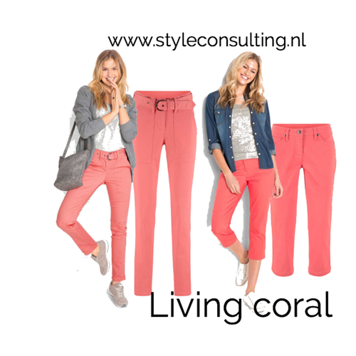 Herstellen verzoek regen Pantone kleur van het jaar 2019: Living Coral. | Style Consulting