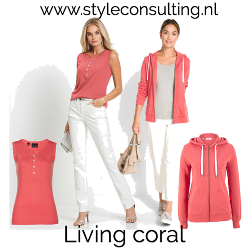Herstellen verzoek regen Pantone kleur van het jaar 2019: Living Coral. | Style Consulting